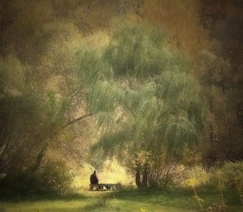 парк., человек. Куда приводят мечтыphoto preview