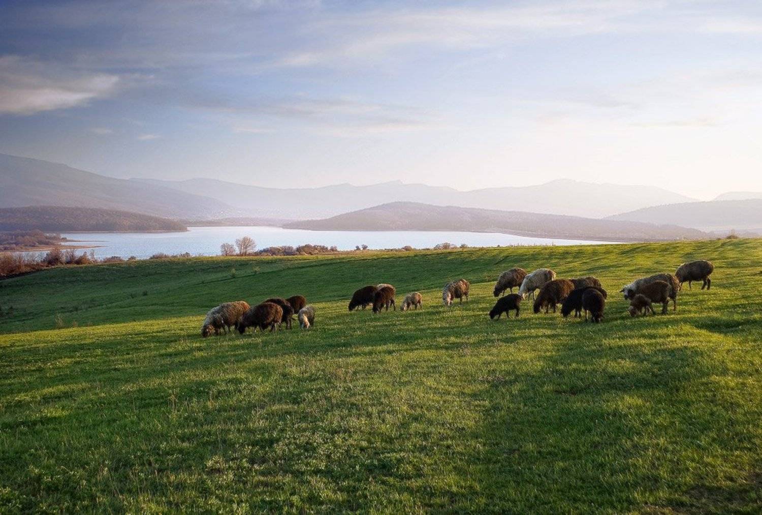 Автор: Яна Гайворонская , Яна Гайворонская