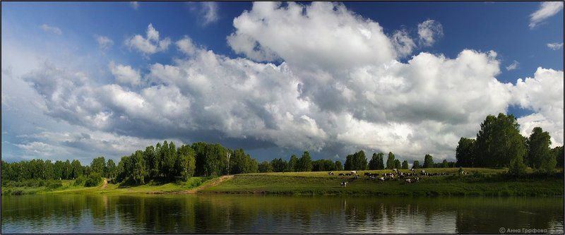 нсо,иня, река, коровы, лето, луг, аня графова Тучки, коровки, луга, вообщем летнее июльскоеphoto preview