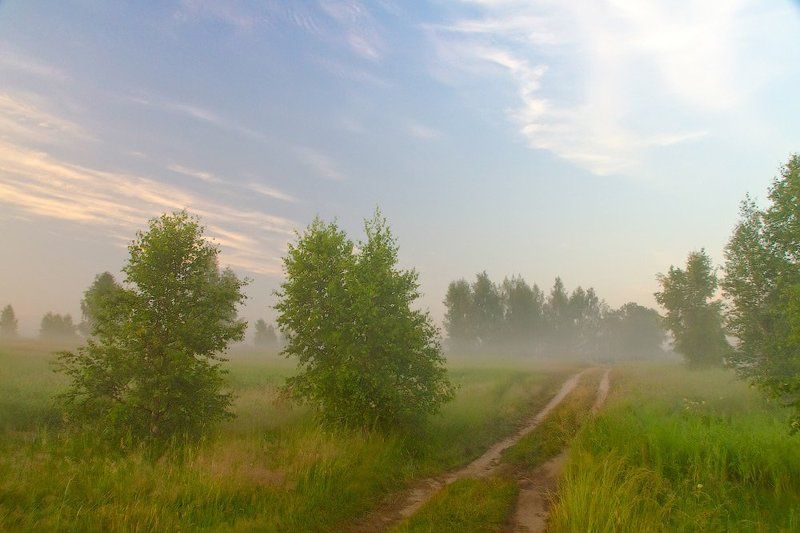 туман, утро Туманыphoto preview