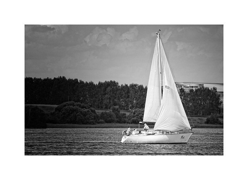 парус, яхта, лето, чб, москва река Белеет парус одинокий...photo preview