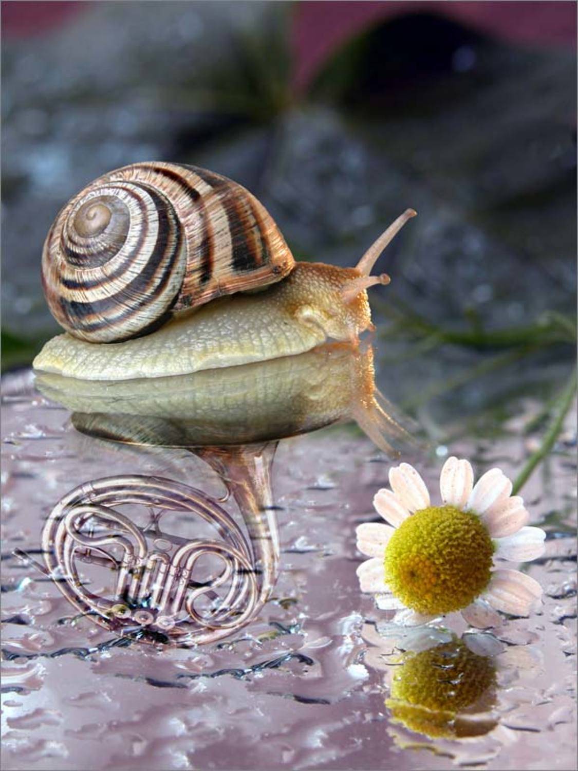 , Valentin Sichinskiy