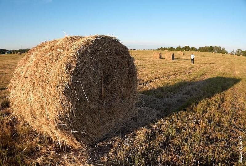 Один в поле не воинphoto preview
