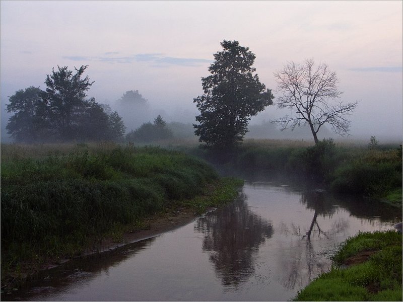 **** фото превью