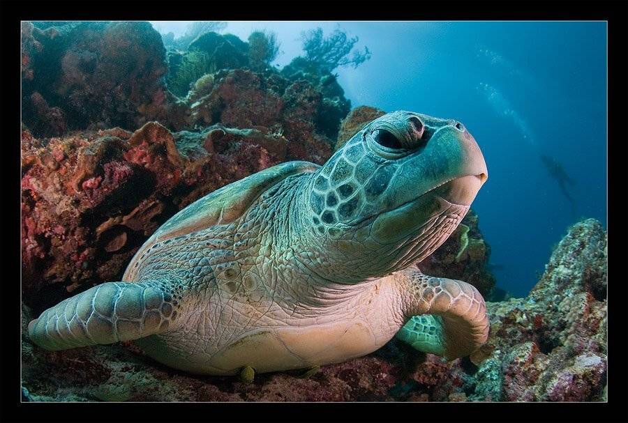 , Нарчук Андрей