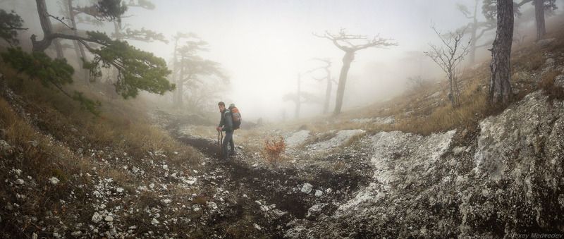 крым, горы, туман, мистика, облако, яйла, ай-петри, лес Птеродактилей высматриватьphoto preview