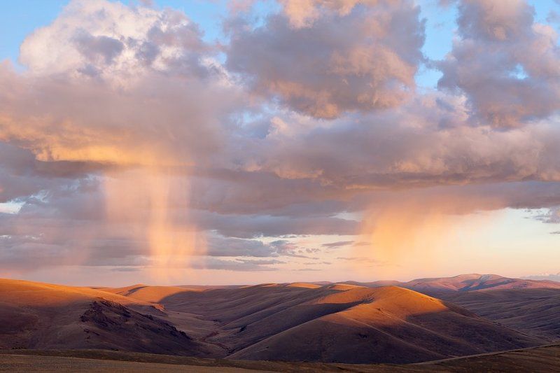 В закатном свете.photo preview