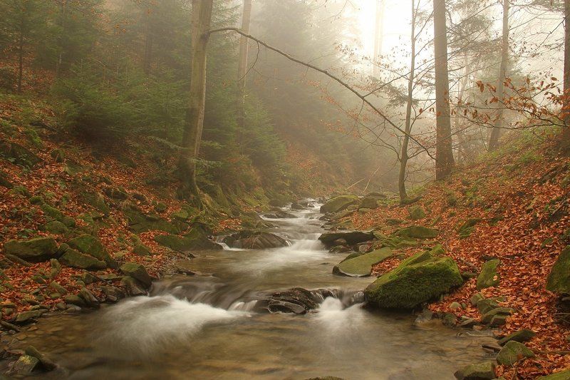 November...photo preview