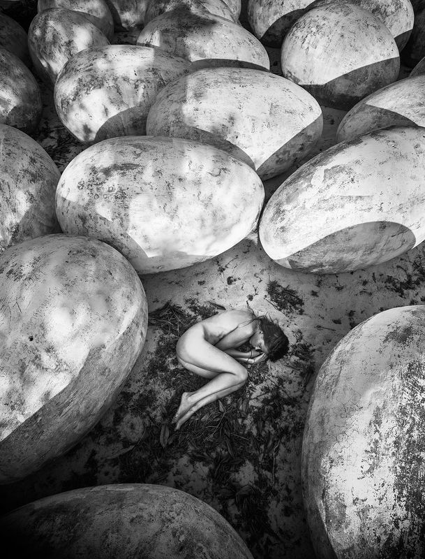 regenerationphoto preview