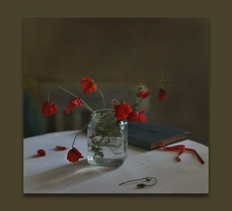 Алых бабочек развернутые крылья...photo preview