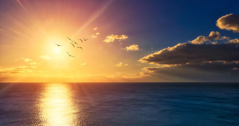 yellow, landscape, sea, sunset, color, blue ,sun ,light ,beautiful ,seagulls In the rays of the setting sun..photo preview