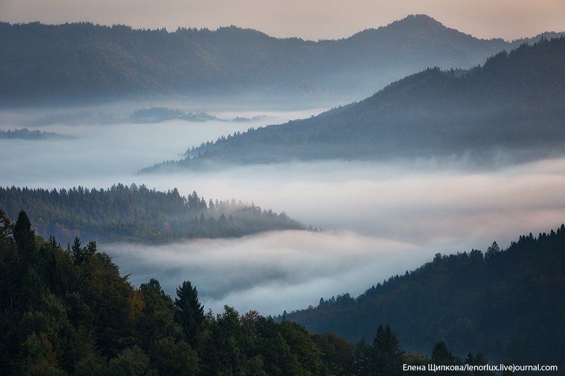 Туманная река. Словенияphoto preview