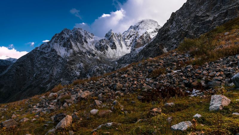 София...photo preview