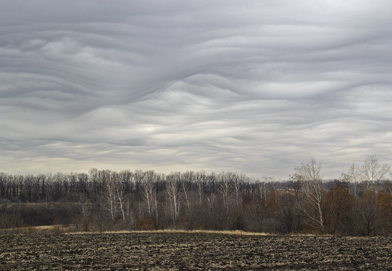 Полеphoto preview