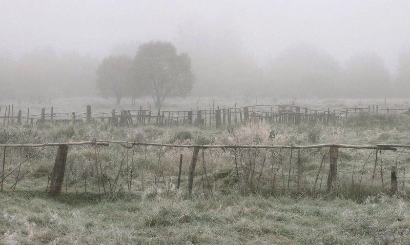 туман, дорога, заморозок, пруд, озеро, осень Одно туманно-морозное утроphoto preview