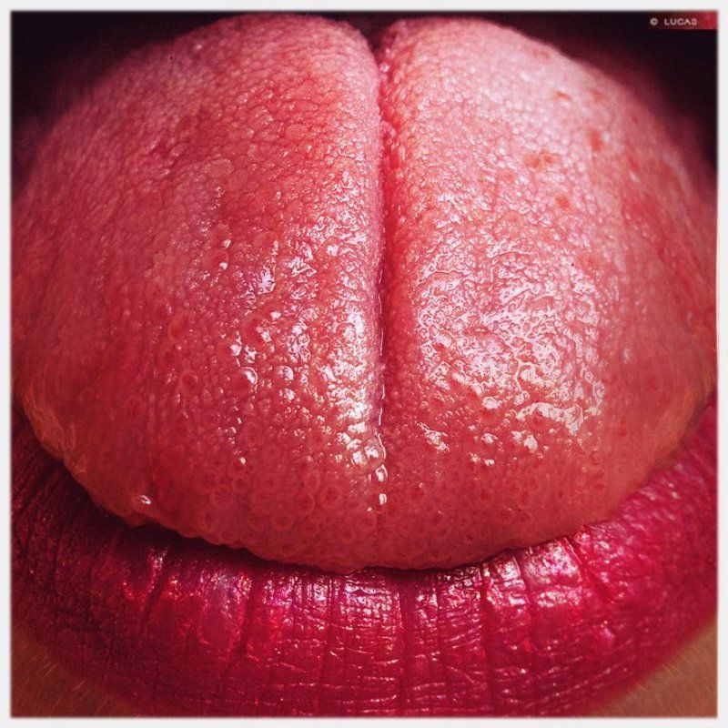 lucas, lucastudio, nude Red Chameleon © фото превью