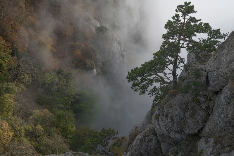Крым, Демерджи Демерджи в туманеphoto preview