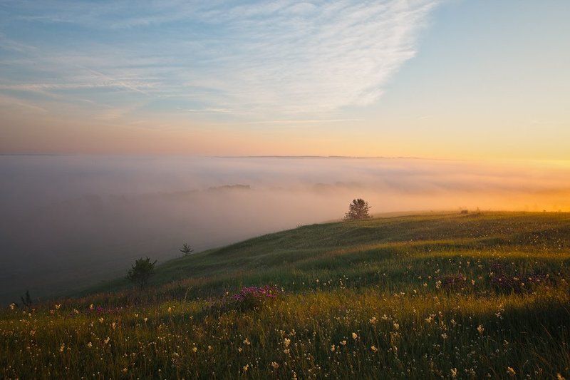 Июньское утро.photo preview