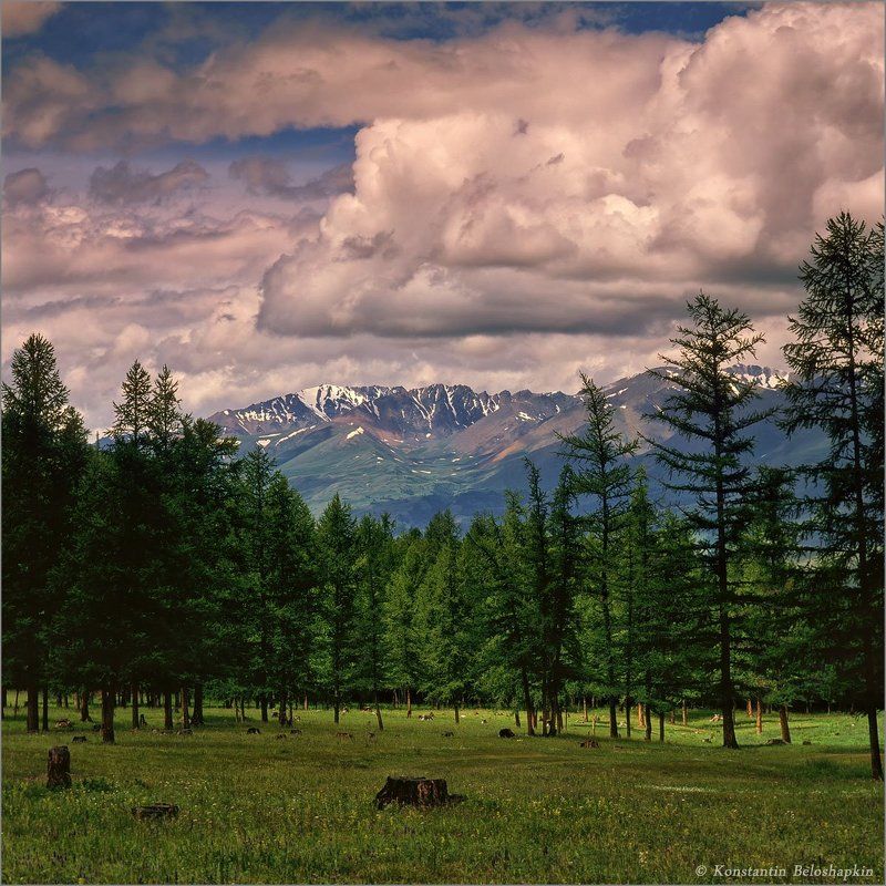 арталук, ортолык Арталукphoto preview