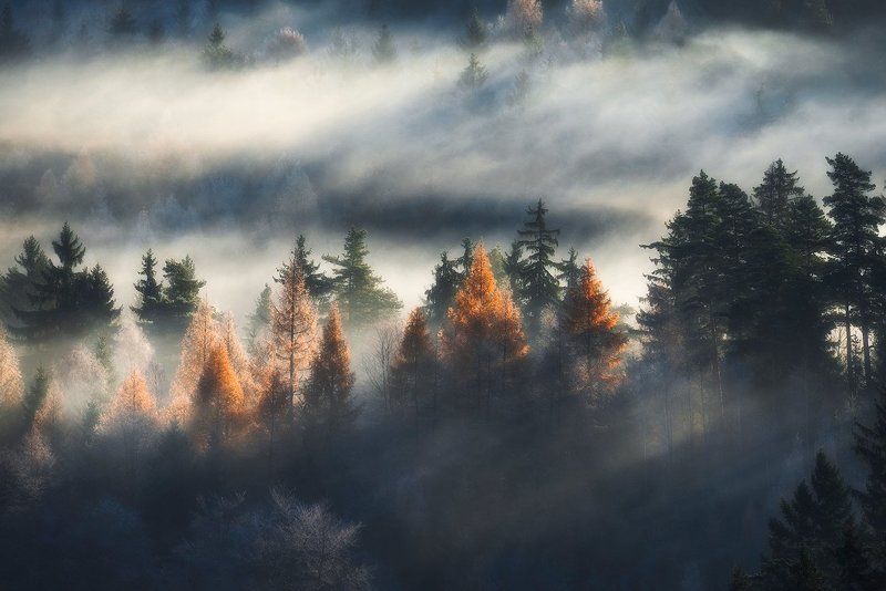 Cold and Warmphoto preview