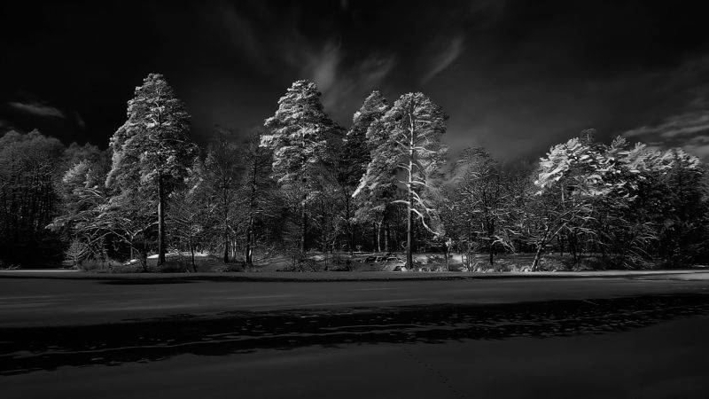 инфракрасный 16 : 9photo preview