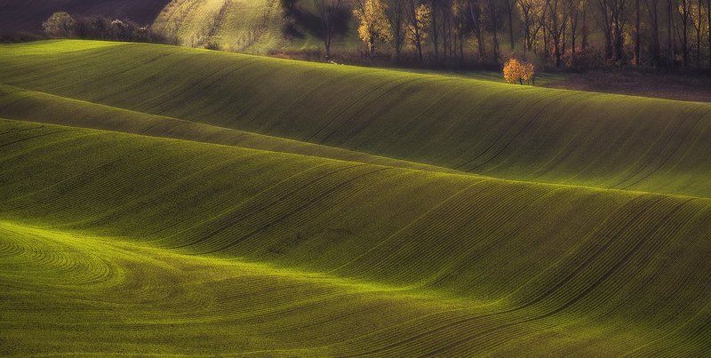 Моравия...волнуется...photo preview