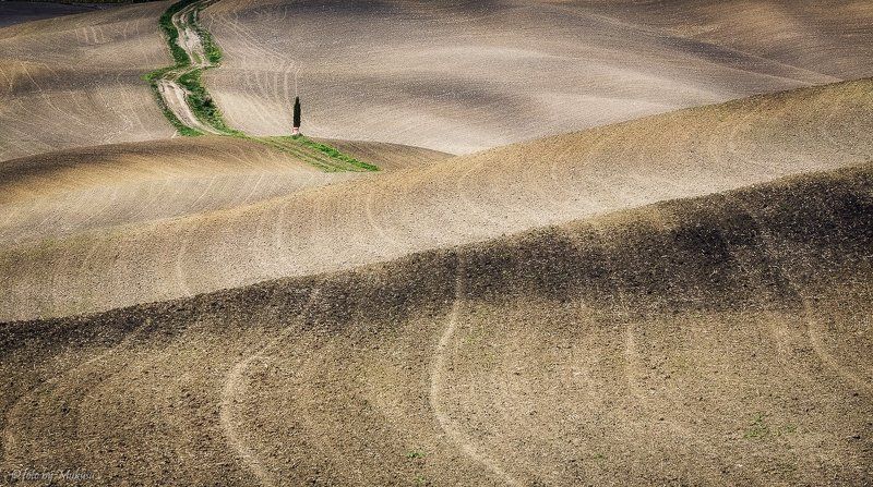 италия, тоскана, пейзаж, утро, путешествия Холмы Тосканыphoto preview