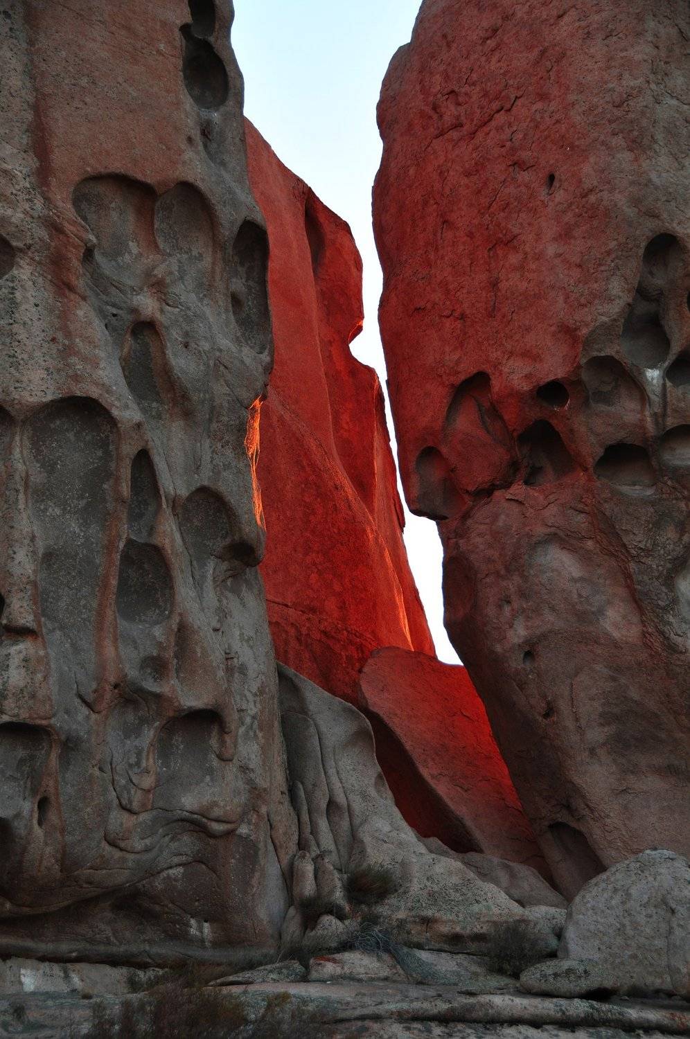 Бектау-Ата., Дмитрий Ругис