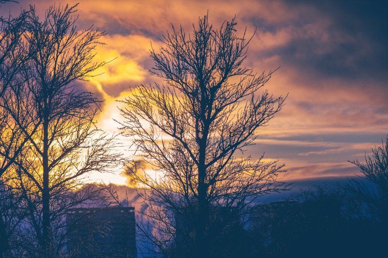 mr.filler ***photo preview