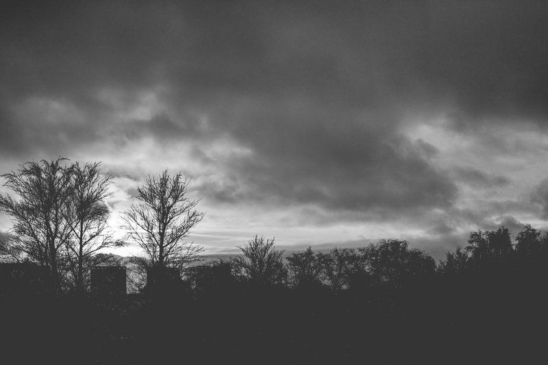 mr.filler ***photo preview