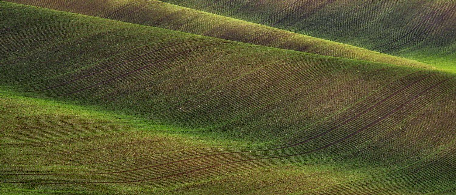 Ocean #2. Автор: Эдуард Горобец , Эдуард Горобец