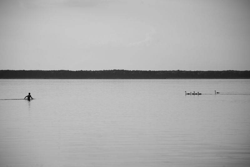 Untitledphoto preview