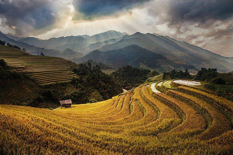 Mu Cang Chai, Vietnam. Автор: Dang Thanh Son , Dang Thanh Son
