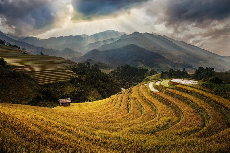 Mu Cang Chai, Vietnamphoto preview