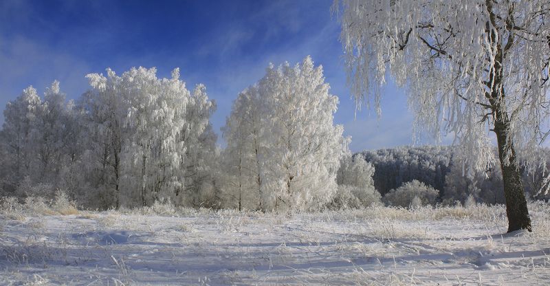 зима Русский пейзаж )photo preview