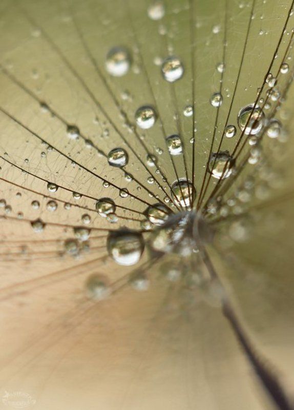 Błyskotkiphoto preview