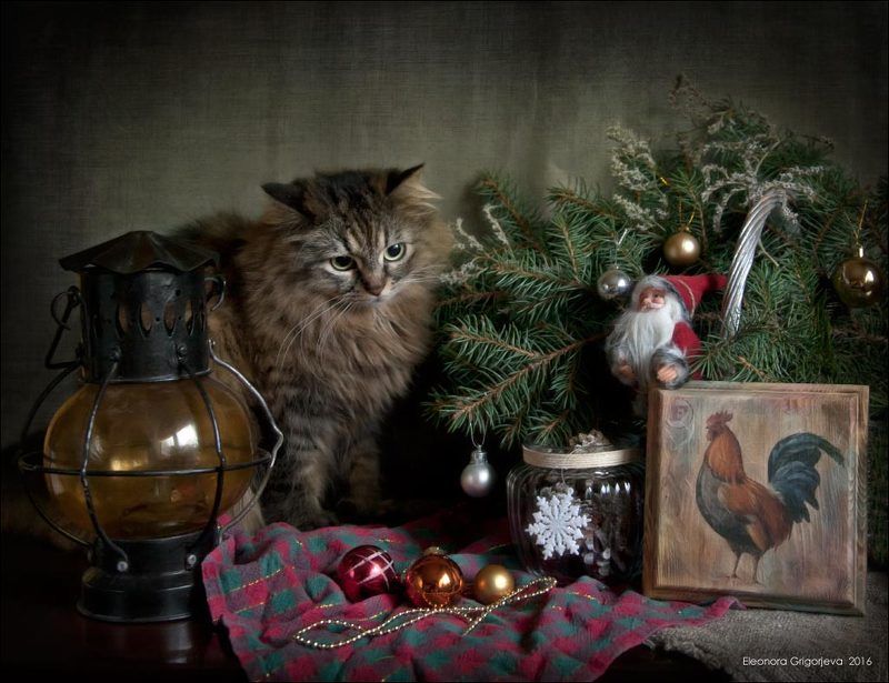 Декупаж, Ёлка, Ёлочные игрушки, Кошка, Натюркотики, Новый год Скоро Новый год!photo preview