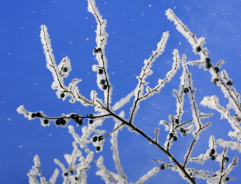 зима *****photo preview