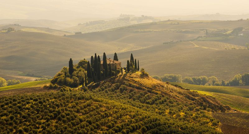 belvederephoto preview