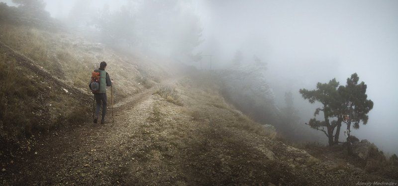 крым, горы, туман, мистика, облако, яйла, ай-петри, лес Спуск с Ай-Петри в Кореизphoto preview