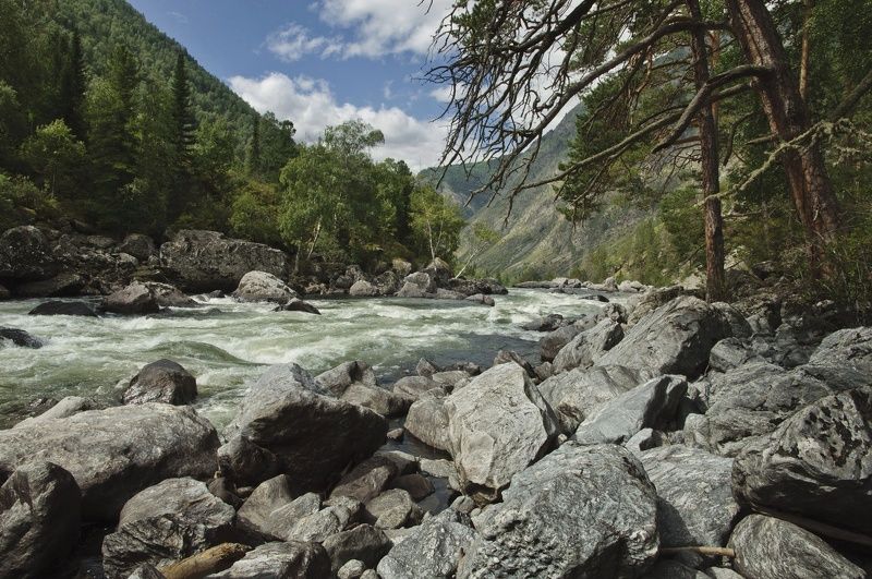 алтай Чульчаphoto preview