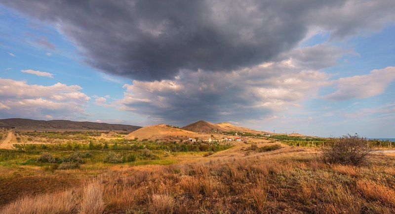 Клоки косматых трав, как пряди рыжей шкурыphoto preview
