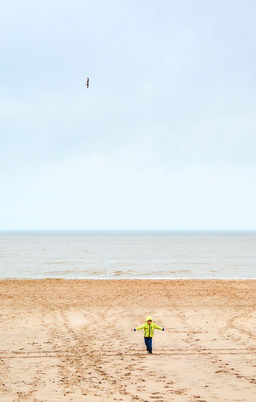 bird,sea,shore,sand,sky,child,runs,flies,dreams,childhood,sadness,time,transience,life like a bird ..photo preview