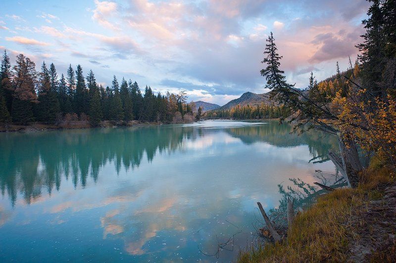 бирюзовая, река, аргут, степь самаха, джазатор, осень, лиственницы, горный алтай Pro бирюзовый Аргутphoto preview