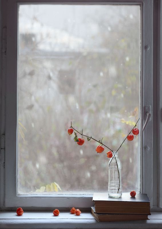 Декабрьphoto preview