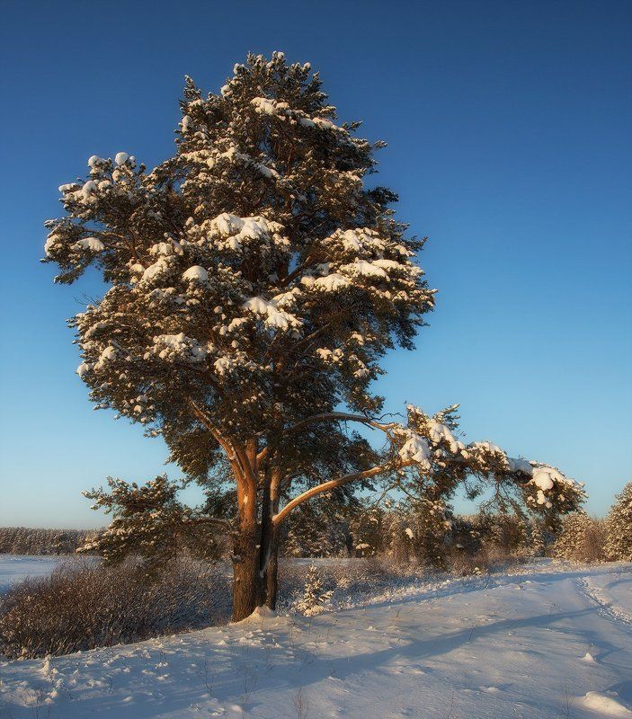 *******photo preview