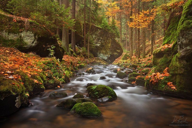 Czech republic, North Bohemia, Bohemia, Czech, Bohemian Switzerland, Elbe Sandstone Mountains, Elbe Sandstone, Sandstone, Kirnitzsch, Kyjov, valley, travel, Europe, nature, mist, fog, forest, tree, trees, mountains, autumn, stream, fall,  river, little ri Small river in autumn colorsphoto preview