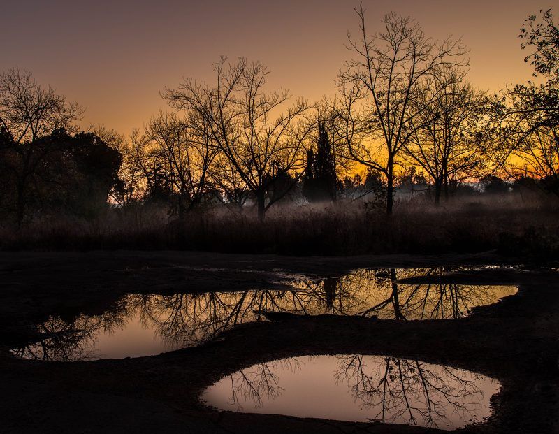 пейзаж, природа,утро,дождь Утро после дождяphoto preview