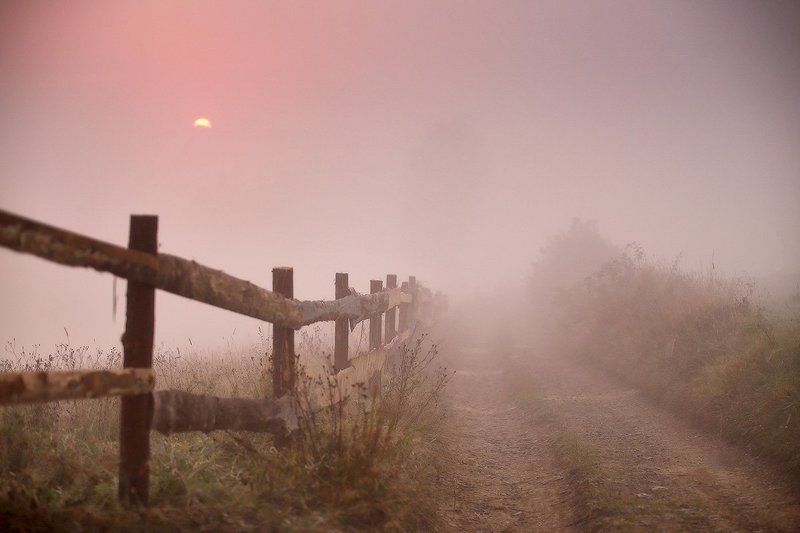 Карпаты, Горы, Осень, Сентябрь, Утро, Рассвет, Туман Сентябрьская рассветнаяphoto preview