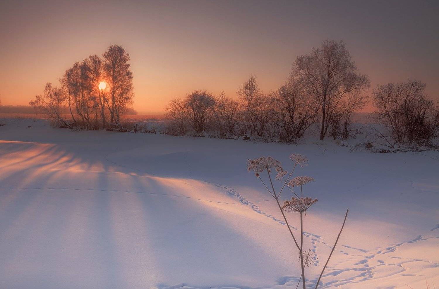 Встречая утро декабря. Автор: Николай Морский , Николай Морский